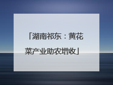 湖南祁东：黄花菜产业助农增收