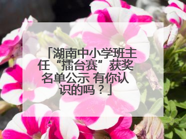 湖南中小学班主任“擂台赛”获奖名单公示 有你认识的吗？