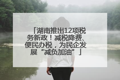 湖南推出12项税务新政！减税降费、便民办税，为民企发展“减负加油”