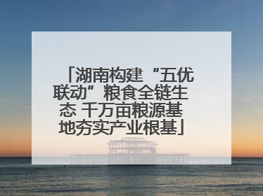 湖南构建“五优联动”粮食全链生态 千万亩粮源基地夯实产业根基