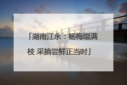 湖南江永：杨梅缀满枝 采摘尝鲜正当时