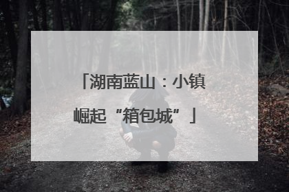 湖南蓝山：小镇崛起“箱包城”