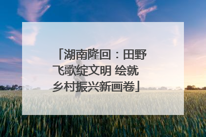 湖南隆回：田野飞歌绽文明 绘就乡村振兴新画卷