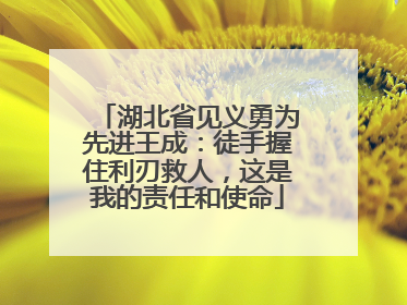 湖北省见义勇为先进王成：徒手握住利刃救人，这是我的责任和使命