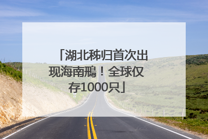 湖北秭归首次出现海南鳽！全球仅存1000只