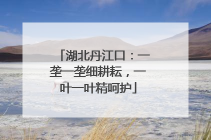 湖北丹江口：一垄一垄细耕耘，一叶一叶精呵护