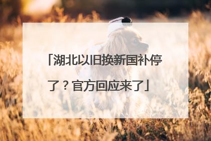 湖北以旧换新国补停了？官方回应来了