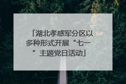 湖北孝感军分区以多种形式开展“七一”主题党日活动