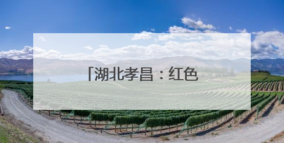 湖北孝昌：红色血脉激活乡村振兴“新动能”
