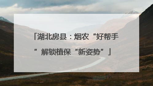 湖北房县：烟农“好帮手”解锁植保“新姿势”