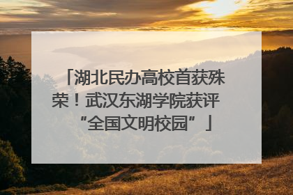 湖北民办高校首获殊荣！武汉东湖学院获评“全国文明校园”