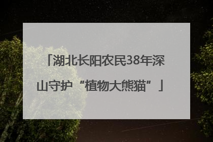 湖北长阳农民38年深山守护“植物大熊猫”