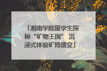 湘南学院留学生探秘“矿物王国” 沉浸式体验矿博盛宴