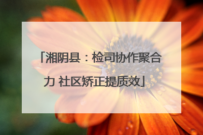 湘阴县：检司协作聚合力 社区矫正提质效