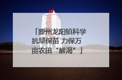 滕州龙阳镇科学抗旱保苗 力保万亩农田“解渴”