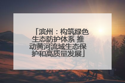滨州：构筑绿色生态防护体系 推动黄河流域生态保护和高质量发展