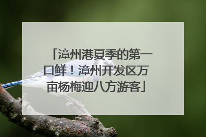 漳州港夏季的第一口鲜！漳州开发区万亩杨梅迎八方游客