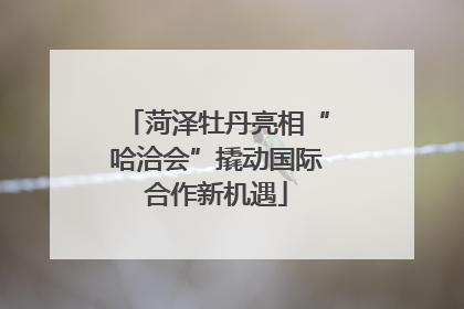 菏泽牡丹亮相“哈洽会”撬动国际合作新机遇