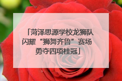 菏泽思源学校龙狮队闪耀“狮舞齐鲁”赛场 勇夺四项桂冠
