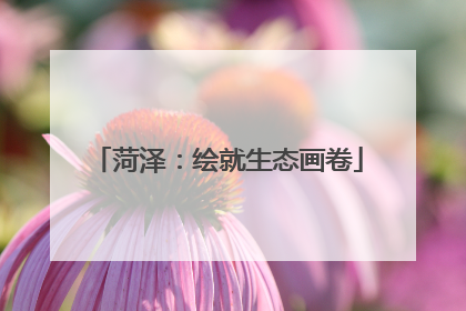 菏泽：绘就生态画卷