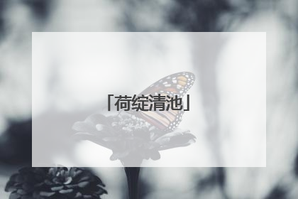 荷绽清池