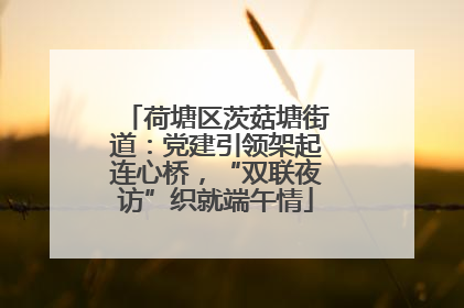 荷塘区茨菇塘街道：党建引领架起连心桥，“双联夜访”织就端午情