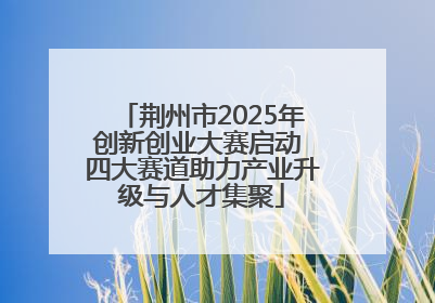 荆州市2025年创新创业大赛启动 四大赛道助力产业升级与人才集聚