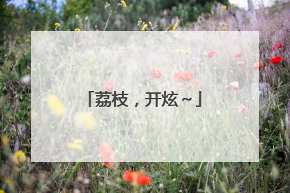荔枝，开炫～