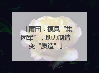 莆田：模具“集团军”，助力制造变“质造”