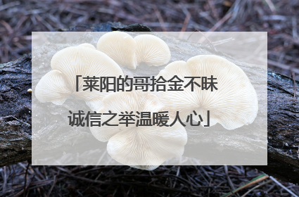莱阳的哥拾金不昧 诚信之举温暖人心