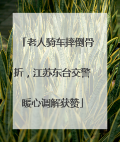 老人骑车摔倒骨折，江苏东台交警暖心调解获赞