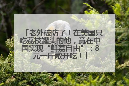 老外破防了！在美国只吃荔枝罐头的他，竟在中国实现“鲜荔自由”：8元一斤敞开吃！