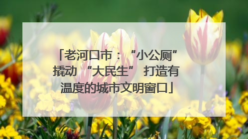 老河口市：“小公厕” 撬动 “大民生” 打造有温度的城市文明窗口