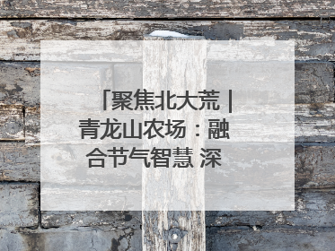 聚焦北大荒｜青龙山农场：融合节气智慧 深耕安全沃土