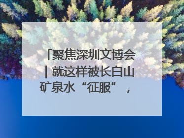 聚焦深圳文博会｜就这样被长白山矿泉水“征服”，订单纷至沓来