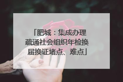 肥城：集成办理 疏通社会组织年检换届换证堵点、难点