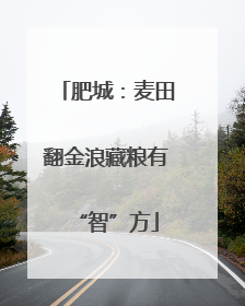 肥城：麦田翻金浪藏粮有“智”方