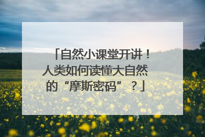 自然小课堂开讲！人类如何读懂大自然的“摩斯密码”？
