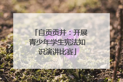 自贡贡井：开展青少年学生宪法知识演讲比赛