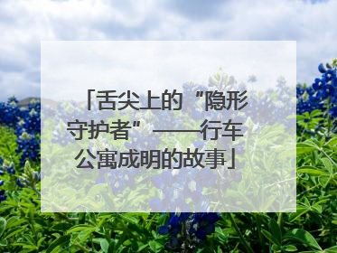 舌尖上的“隐形守护者”——行车公寓成明的故事
