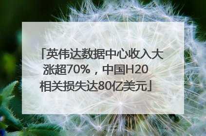 英伟达数据中心收入大涨超70%，中国H20相关损失达80亿美元