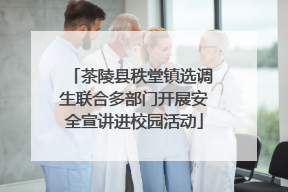 茶陵县秩堂镇选调生联合多部门开展安全宣讲进校园活动