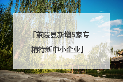 茶陵县新增5家专精特新中小企业