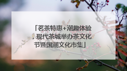 茗茶特惠+潮趣体验，现代茶城举办茶文化节暨国潮文化市集