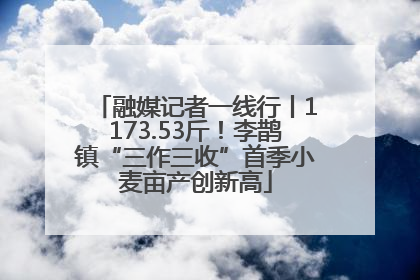 融媒记者一线行丨1173.53斤！李鹊镇“三作三收”首季小麦亩产创新高