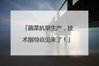 蔬菜抗旱生产，技术指导意见来了！