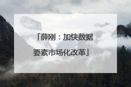 薛刚：加快数据要素市场化改革