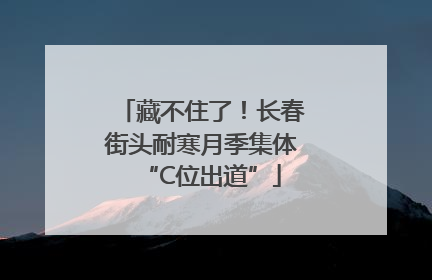 藏不住了！长春街头耐寒月季集体“C位出道”