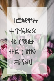 虞城举行中华传统文化（戏曲·非遗）进校园活动