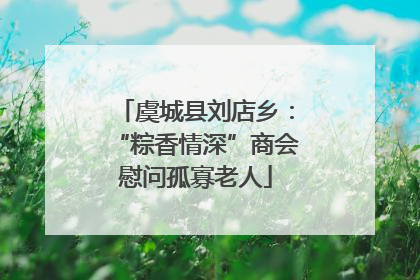 虞城县刘店乡：“粽香情深”商会慰问孤寡老人